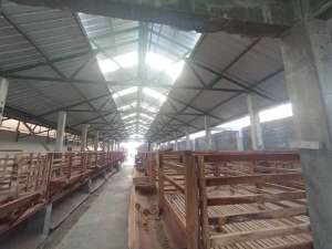 DiJual Rumah Mewah Di Blitar Plus Furniture,Kandang Kambing dan Lahan lokasi di Kanigoro, tersedia melalui melalui situs Olx