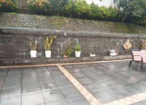 DIJUAL RUMAH PREMIUM ADA KOLAM RENANG HARGA NEGO SENTUL CITY SSR912 lokasi di ",
          price: `6000000000`,
          currency: `IDR`
    };


    let pageData = {
        viewPhoneModalField: , tersedia melalui melalui situs Lamudi