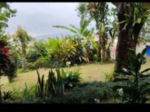 Dijual Tanah di Ciawi Gadog Bogor. Tanah Siap Bangun Lokasi Sangat Strategis lokasi di Megamendung, tersedia melalui melalui situs Olx