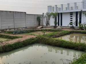 Dijual Villa Kolam Ikan 600m2 Sawangan Jatimulyo, Lampung Selatan lokasi di Jati Agung, tersedia melalui melalui situs Olx