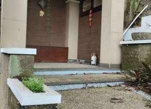 Disewakan Rumah Asri di Setraduta lokasi di ",
          price: `170000000`,
          currency: `IDR`
    };


    let pageData = {
        viewPhoneModalField: , tersedia melalui melalui situs Lamudi