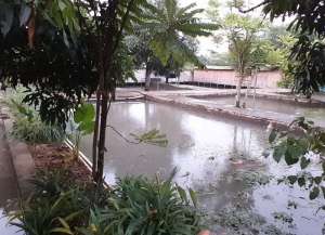 DISEWAKAN RUMAH TERMASUK 11 KOLAM IKAN DI JALAN RAYA PABUARAN PARUNG BOGOR lokasi di ",
          price: `180000000`,
          currency: `IDR`
    };


    let pageData = {
        viewPhoneModalField: , tersedia melalui melalui situs Lamudi