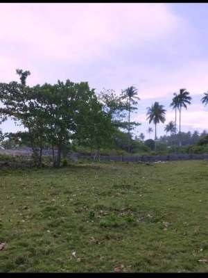Freehold Land Beach View in Krui Lampung, Indonesia lokasi di Krui Selatan, tersedia melalui melalui situs Olx