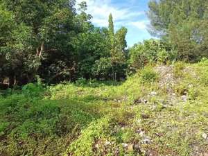 Freehold - Riverside Land for Sale in Prime Canggu, Bali Location lokasi di Pererenan, tersedia melalui melalui situs Olx