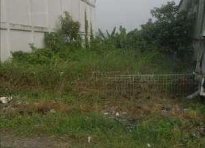 GudangTanah Driyorejo 0 Jalan depan Citraland lokasi di ",
          price: `3000000`,
          currency: `IDR`
    };


    let pageData = {
        viewPhoneModalField: , tersedia melalui melalui situs Lamudi