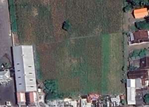 jl Gatot Subroto dekat Hotel Ketapang Indah lokasi di ",
          price: `1900000`,
          currency: `IDR`
    };


    let pageData = {
        viewPhoneModalField: , tersedia melalui melalui situs Lamudi