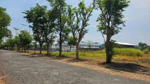 Jual Cepaat Tanah Kavling Industri di PIER Harga Dibawah Pasaran lokasi di Rembang, tersedia melalui melalui situs Olx