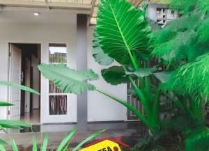 Jual Cepat Rumah Bagus Siap Huni di Permata Adora Bintaro Sektor 9 SD lokasi di ",
          price: `1850000000`,
          currency: `IDR`
    };


    let pageData = {
        viewPhoneModalField: , tersedia melalui melalui situs Lamudi