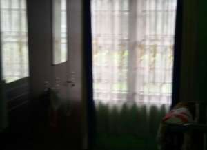 Jual cepat rumah di Komplek Griya Delta Indah di Namorambe lokasi di ",
          price: `650000000`,
          currency: `IDR`
    };


    let pageData = {
        viewPhoneModalField: , tersedia melalui melalui situs Lamudi