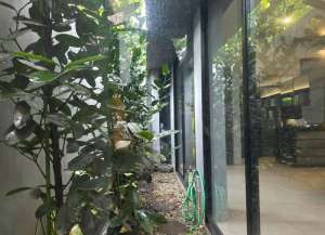 JUAL CEPAT Rumah Mewah Exclusive Listed Di The Green BSD City lokasi di cilenggang, tersedia melalui melalui situs Lamudi