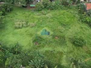 Jual Tanah di Kp. Dukuh, Ds. Babakan, Kec. Legok - Tangerang lokasi di Legok, tersedia melalui melalui situs Olx