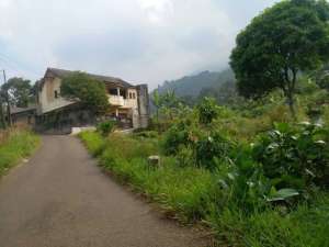 Kaveling Cijeruk Bogor Siap Bangun Free SHM Cicil Tanpa Bunga lokasi di Cijeruk, tersedia melalui melalui situs Olx