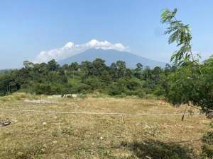 Kavling Rosewood at Bukit Rancamaya Residence lokasi di Cijeruk, tersedia melalui melalui situs Olx