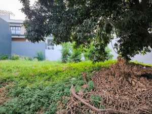 Kavling Tanah Cluster Depan Bagus Di Taman Cipto, Cirebon lokasi di Pekalipan, tersedia melalui melalui situs Olx