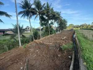Prime Investment Land - 27 Are Leasehold Plot in Pejeng, Ubud - Secure Your Piece of Balis Land lokasi di Ubud, tersedia melalui melalui situs Olx