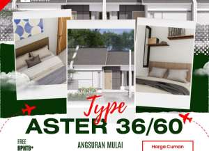 Rumah Aster 3660 Nguling, Cicilan 1Jt Tanpa DP, Promo Subsidi Warga Timur Pasuruan lokasi di ",
          price: `166000000`,
          currency: `IDR`
    };


    let pageData = {
        viewPhoneModalField: , tersedia melalui melalui situs Lamudi