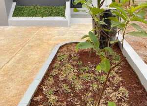 Rumah cluster 2 lantai di Cileungsi Bogor KPR strategis 7 menit ke terminal Cileungsi, pintu tol JORR 2 dan wisata Mekarsari Bogor lokasi di ",
          price: `834000000`,
          currency: `IDR`
    };


    let pageData = {
        viewPhoneModalField: , tersedia melalui melalui situs Lamudi