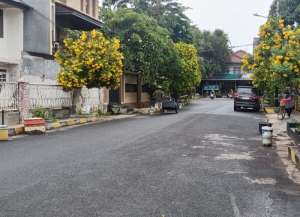 Rumah Kelapa Molek Kelapa Gading 204m 2 lantai, jalan lebar lokasi di ",
          price: `5100000000`,
          currency: `IDR`
    };


    let pageData = {
        viewPhoneModalField: , tersedia melalui melalui situs Lamudi