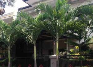 Rumah Lux nyaman dan terawat di istana kawaluyaan one-gate system lokasi di ",
          price: `1800000000`,
          currency: `IDR`
    };


    let pageData = {
        viewPhoneModalField: , tersedia melalui melalui situs Lamudi