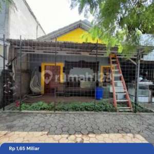 Rumah Mungil, Halaman Luas, Bonus Usaha Peternakan Ikan Discus , tersedia melalui melalui situs Rumah123