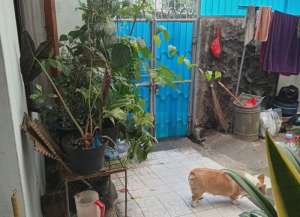 Rumah Tua Terawat Murah Sekali Strategis Pusat Kota Bandung di Sayap Pajajaran Bandung lokasi di cicendo, tersedia melalui melalui situs Lamudi