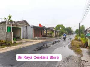 Sewa Tanah Untuk Gudang BLORA 890 M2 lokasi di Banjarejo, tersedia melalui melalui situs Olx