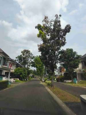 SIAP BANGUN Tanah KAVLING di Bogor Kota lokasi di Bogor Tengah - Kota, tersedia melalui melalui situs Olx