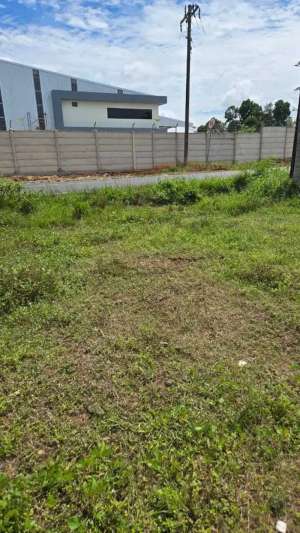 TANAH DI PEKALONGAN LAMPUNG TIMUR lokasi di Metro Pusat, tersedia melalui melalui situs Olx