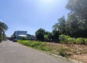 tanah jarang ada,klampis aji lokasi di gubeng, tersedia melalui melalui situs Lamudi