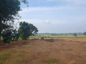 TANAH JEPARA STRATEGIS VIEW SAWAH DEKAT RESORT PANTAI KAWASAN WISATA lokasi di Mlonggo, tersedia melalui melalui situs Olx