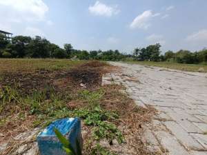 Tanah Jogja Strategis Trihanggo 200 Meter Jl Kabupaten, pas Investasi lokasi di Mlati, tersedia melalui melalui situs Olx