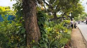 Tanah Luas di Jalan Patal-PUSRI Palembang Cocok untuk Ruko lokasi di Ilir Timur II, tersedia melalui melalui situs Olx