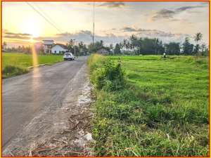 Tanah Mungkid Magelang, View SawahDekat Wisata Borobudur lokasi di Mungkid, tersedia melalui melalui situs Olx