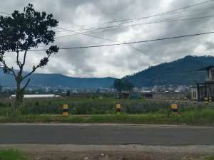 Villa Premium Batu dengan Nilai Sewa Tinggi lokasi di Batu, tersedia melalui melalui situs Olx