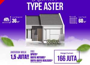 Warga Bangil Bisa Punya Rumah Subsidi Aster 3660, Tanpa DP Cicilan 1Jt lokasi di ",
          price: `166000000`,
          currency: `IDR`
    };


    let pageData = {
        viewPhoneModalField: , tersedia melalui melalui situs Lamudi