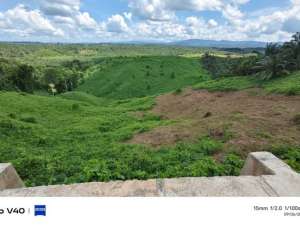 Dijual Cepat Tanah Murah Di Pinggir Jalan IKN Nusantara Penajam lokasi di ",
          price: `18000000000`,
          currency: `IDR`
    };


    let pageData = {
        viewPhoneModalField: , tersedia melalui melalui situs Lamudi