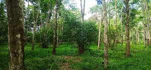 BU Jual Cepat Tanpa Perantara, Tanah Strategis Di Sumatera Selatan lokasi di Jakabaring, tersedia melalui melalui situs Lacakharga