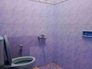  , tersedia melalui melalui situs Olx