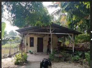 di jual tanah beserta ada kolam ikan lokasi di Tenayan Raya, tersedia melalui melalui situs Olx