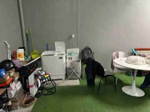 Dijual cepat rumah di cilodong blkg sekolah al azhar grand depok city , tersedia melalui melalui situs Olx