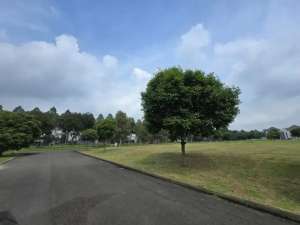 dijual kavling siap bangun di cluster alam suvarna sutera murah banget lokasi di Sindang Jaya, tersedia melalui melalui situs Olx