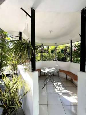 Dijual Rumah Asri dan Adem dekat Kampus UII Jalan Kaliurang lokasi di Sukoharjo Ngaglik Sleman, tersedia melalui melalui situs Olx