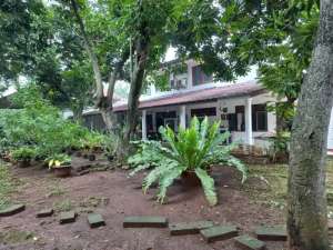 Dijual Rumah dengan halaman luas di ulujami cipulir jaksel lokasi di Kebayoran Lama, tersedia melalui melalui situs Olx