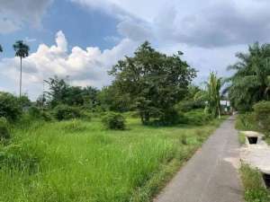 Dijual sebidang tanah 401M2 dekat kota Binjai lokasi di Binjai Utara, tersedia melalui melalui situs Olx