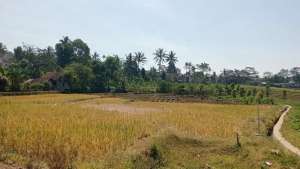 DIJUAL SEBIDANG TANAH DI SETIANEGARA, CILIMUS lokasi di Lebakwangi, tersedia melalui melalui situs Olx