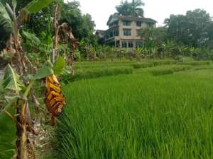 Dijual Tanah belakang hotel Augusta Pelabuhan Ratu 2400m lokasi di Pelabuhanratu, tersedia melalui melalui situs Olx