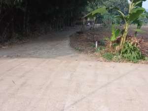 dijual tanah di perbatasan cisauk lokasi di Cisauk, tersedia melalui melalui situs Olx