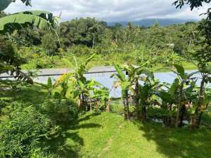 dijual tanah kebun dan peternakan lokasi di Cigombong, tersedia melalui melalui situs Olx