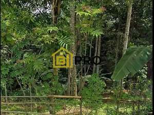 Dijual Tanah Pinggir jalan Curugbitung Lebak banten Guradok lokasi di Curugbitung, tersedia melalui melalui situs Olx