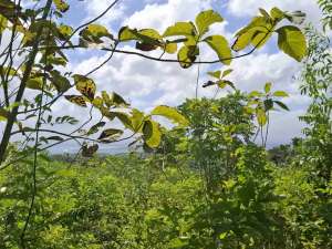 dijual tanah premium ocean view pecatu lokasi di Kuta Selatan, tersedia melalui melalui situs Olx